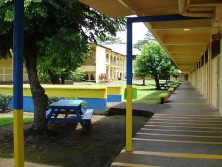 Hilo High Walkways